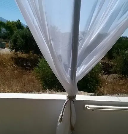 Stolidi