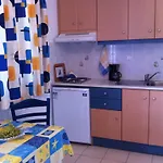 Stolidi