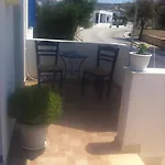 Stolidi *