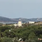 Stolidi
