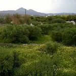Stolidi