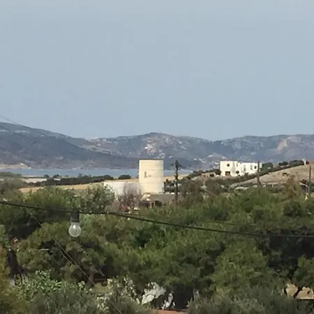 Stolidi