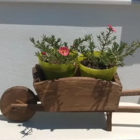 Appartement Stolidi *