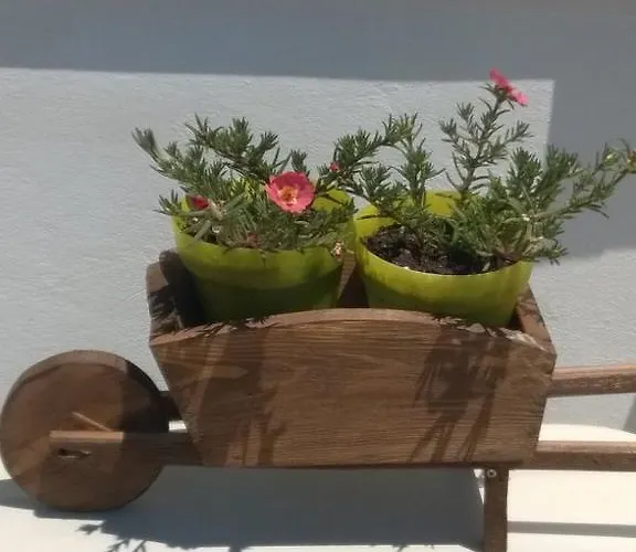 Appartement Stolidi *